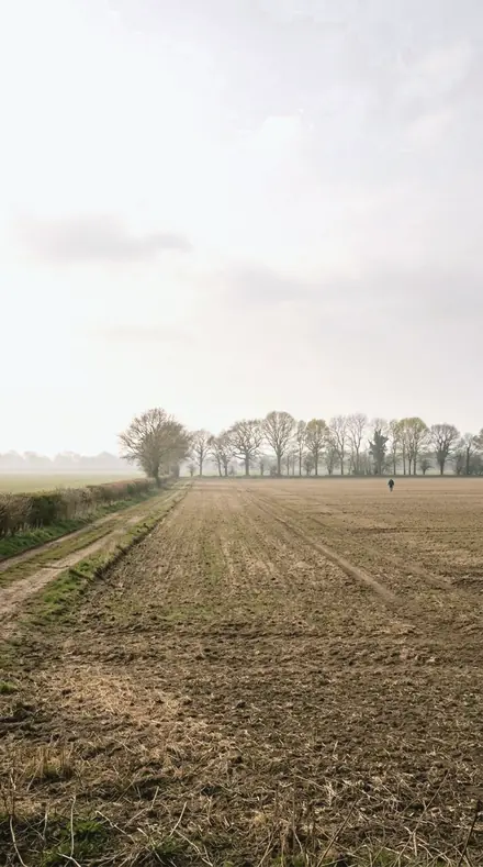 Frost Field applied to White ground, the cast cancelled